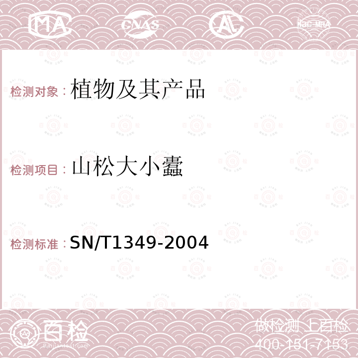 山松大小蠹 山松大小蠹鑒定方法
