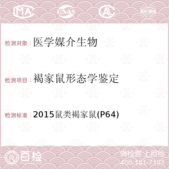 褐家鼠形态学鉴定 中国国境口岸医学媒介生物鉴定图谱 天津科学技术出版社