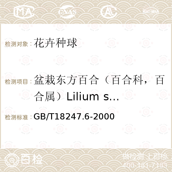 盆栽东方百合（百合科，百合属）Lilium spp.(Oriental hybrids pot) GB/T 18247.6-2000 主要花卉产品等级 第6部分:花卉种球