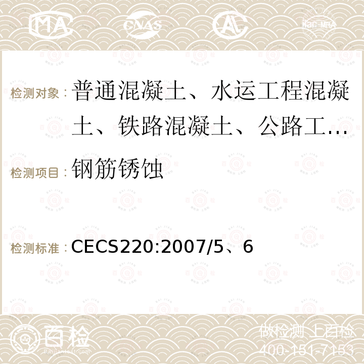 钢筋锈蚀 CECS220:2007/5、6 混凝土结构耐久性评定标准