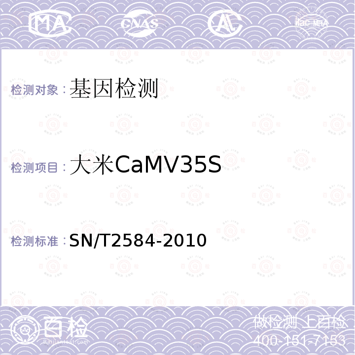 大米CaMV35S SN/T 2584-2010 水稻及其产品中转基因成分 实时荧光PCR检测方法