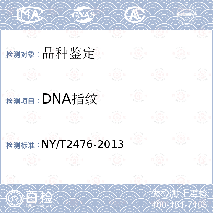 DNA指纹 NY/T 2476-2013 大白菜品种鉴定技术规程 SSR分子标记法