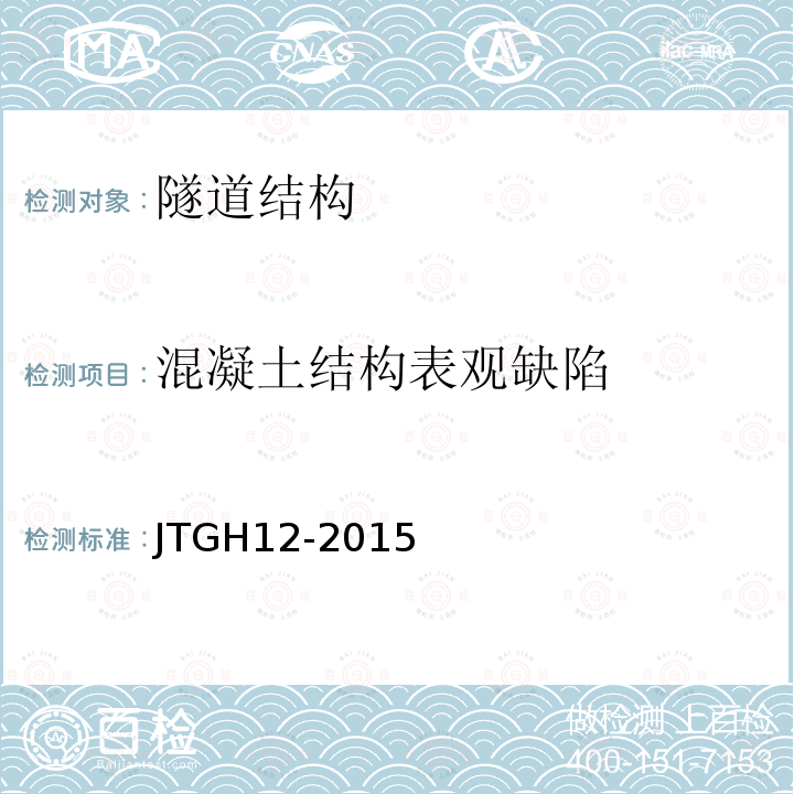 混凝土结构表观缺陷 JTG H12-2015 公路隧道养护技术规范(附条文说明)