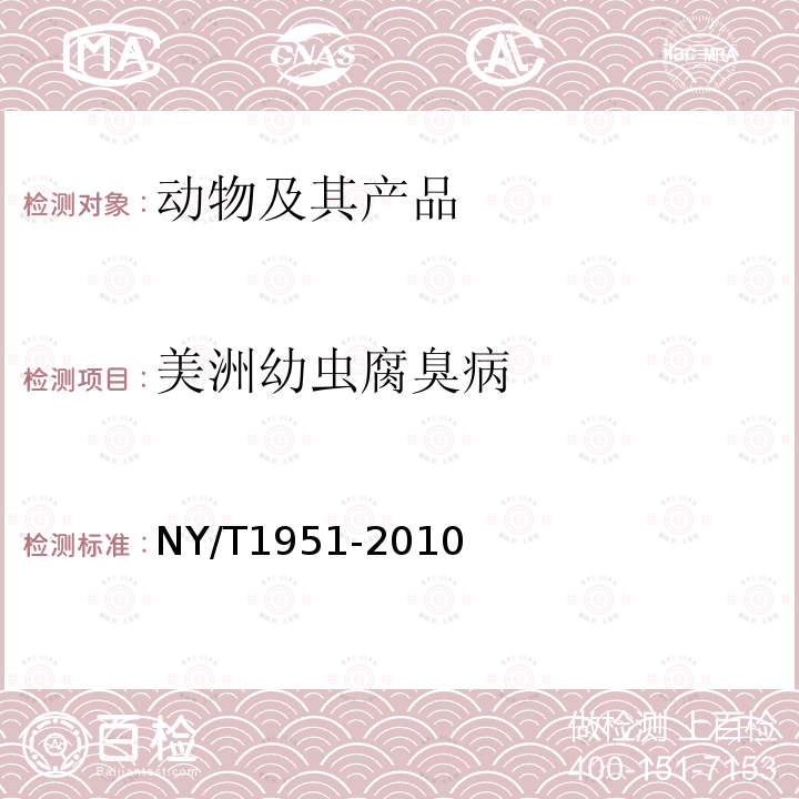 美洲幼虫腐臭病 NY/T 1951-2010 蜜蜂幼虫腐臭病诊断技术规范