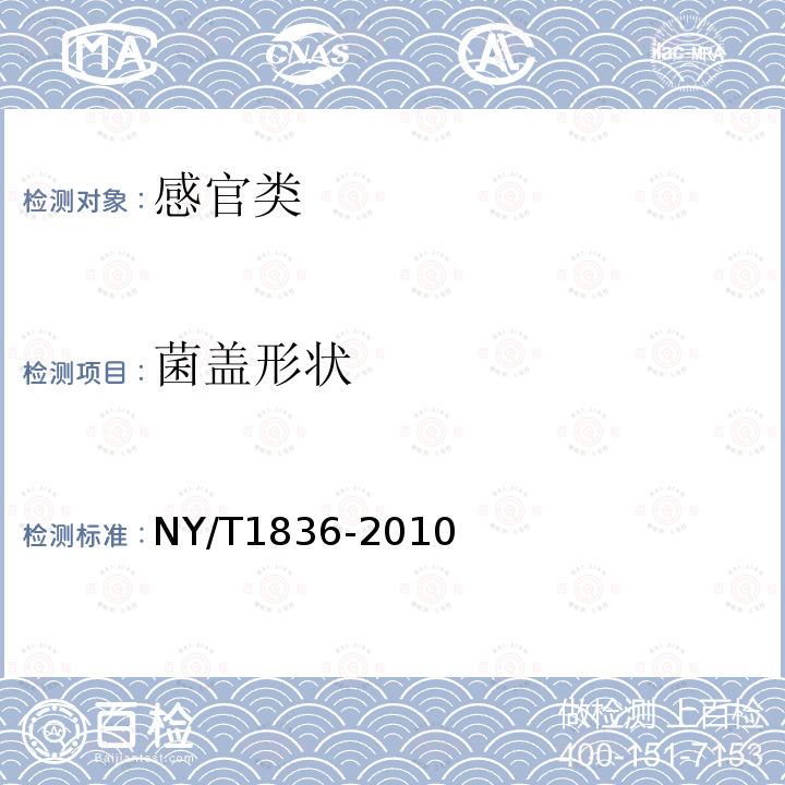 菌盖形状 NY/T 1836-2010 白灵菇等级规格