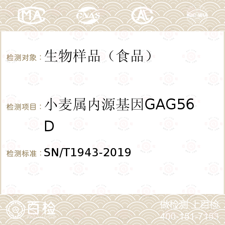 小麦属内源基因GAG56D SN/T 1943-2019 小麦及其制品中转基因成分普通PCR和实时荧光PCR定性检测方法