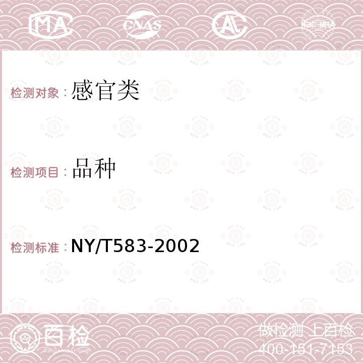 品种 NY/T 583-2002 结球甘蓝