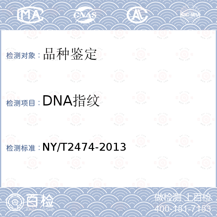DNA指纹 NY/T 2474-2013 黄瓜品种鉴定技术规程 SSR分子标记法