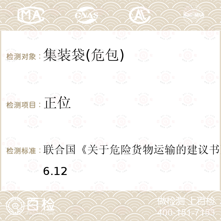 正位 联合国 关于危险货物运输的建议书 第19修订版 6.5.6.12