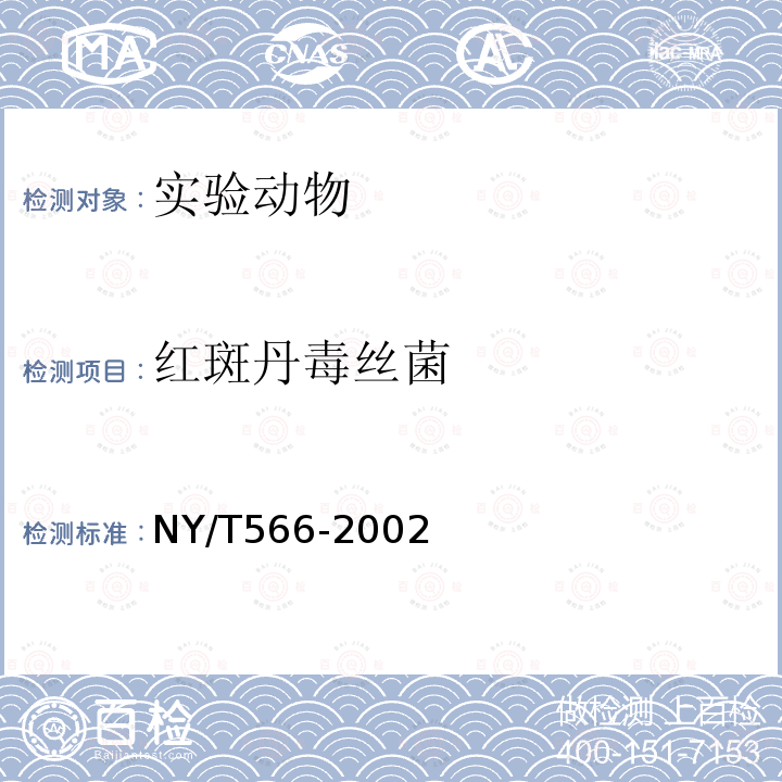 红斑丹毒丝菌 NY/T 566-2002 猪丹毒诊断技术