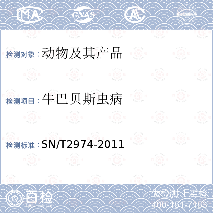 牛巴贝斯虫病 SN/T 2974-2011 牛巴贝斯虫病检疫技术规范