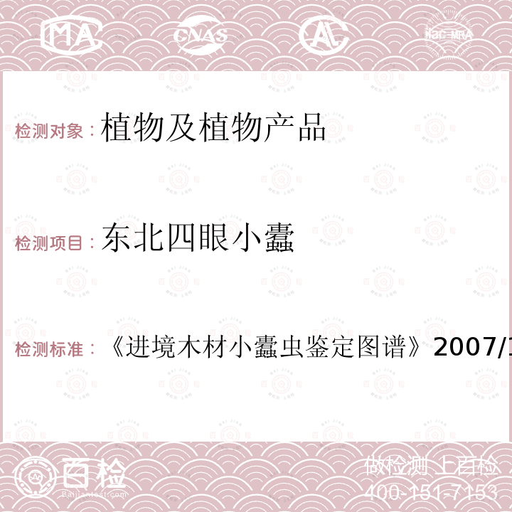 东北四眼小蠹 进境木材小蠹虫鉴定图谱 2007/110.