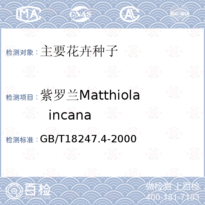 紫罗兰Matthiola  incana GB/T 18247.4-2000 主要花卉产品等级 第4部分:花卉种子