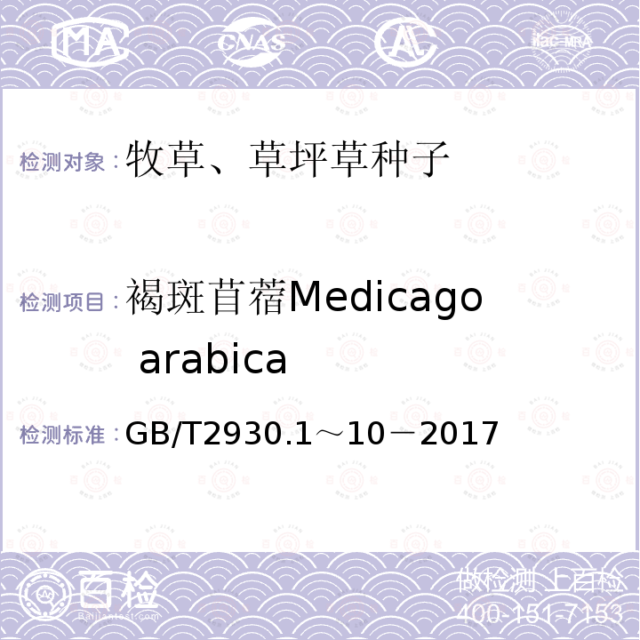 褐斑苜蓿Medicago arabica GB 2930-1982 牧草种子检验规程