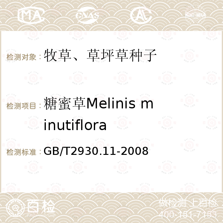 糖蜜草Melinis minutiflora GB/T 2930.11-2008 草种子检验规程 检验报告