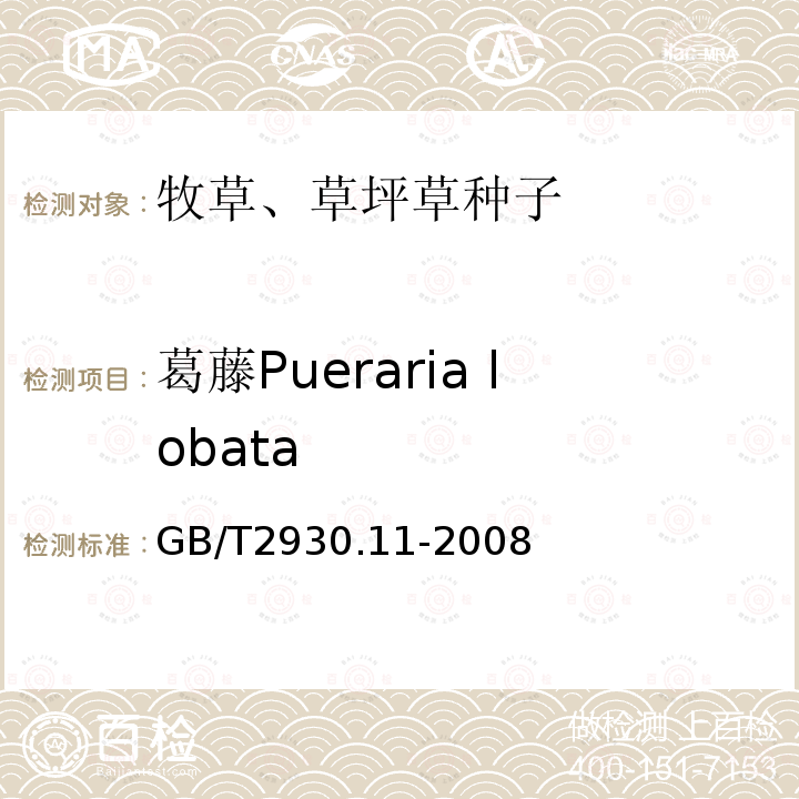 葛藤Pueraria lobata GB/T 2930.11-2008 草种子检验规程 检验报告