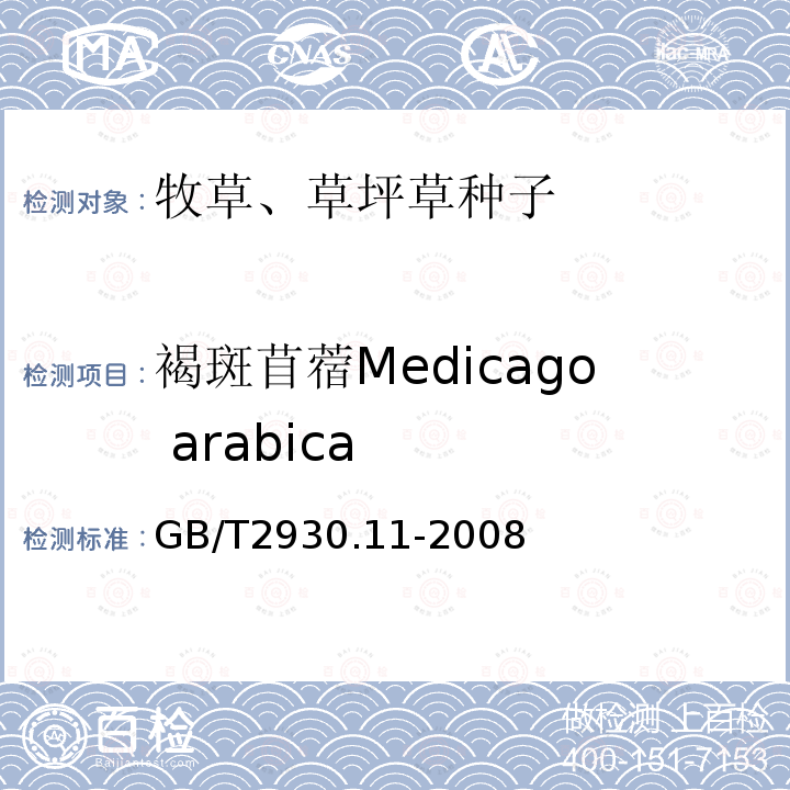 褐斑苜蓿Medicago arabica GB/T 2930.11-2008 草种子检验规程 检验报告