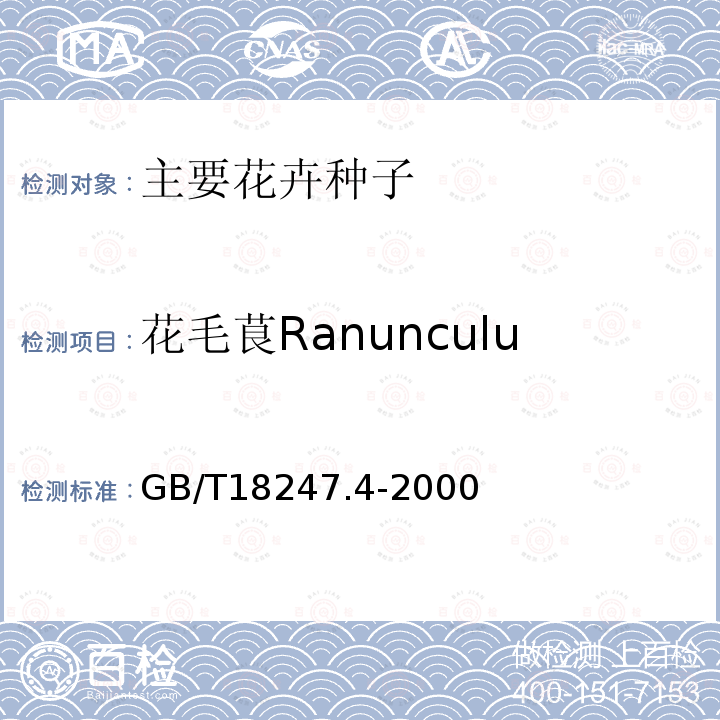 花毛茛Ranunculus  asiaticus GB/T 18247.4-2000 主要花卉产品等级 第4部分:花卉种子