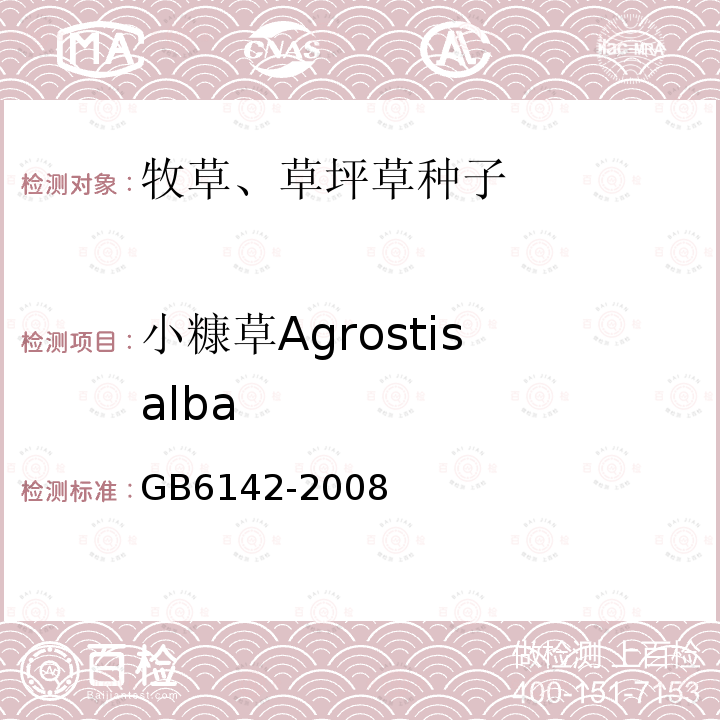 小糠草Agrostis alba GB 6142-2008 禾本科草种子质量分级