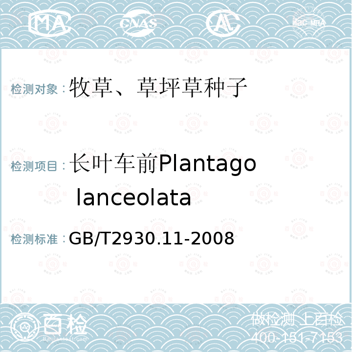 长叶车前Plantago lanceolata GB/T 2930.11-2008 草种子检验规程 检验报告