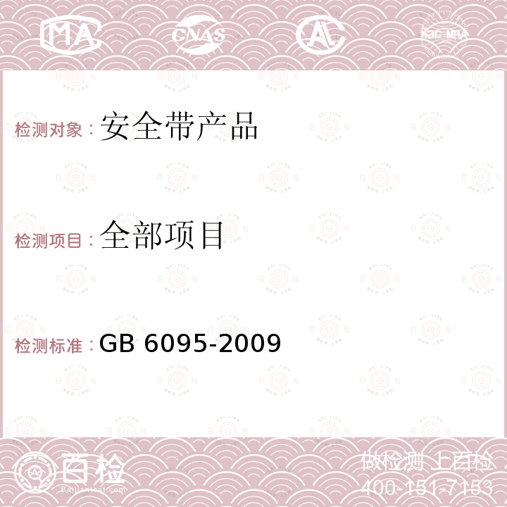 全部项目 安全带 GB 6095-2009