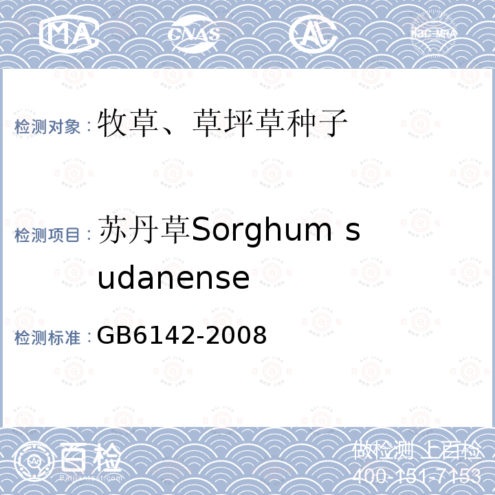 苏丹草Sorghum sudanense GB 6142-2008 禾本科草种子质量分级