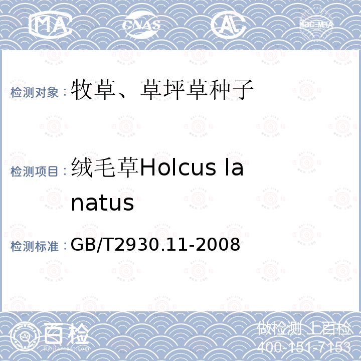绒毛草Holcus lanatus GB/T 2930.11-2008 草种子检验规程 检验报告