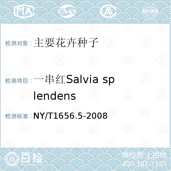 一串红Salvia splendens NY/T 1656.5-2008 花卉检验技术规范 第5部分:花卉种子检验