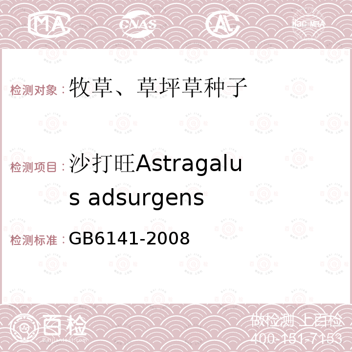 沙打旺Astragalus adsurgens GB 6141-2008 豆科草种子质量分级
