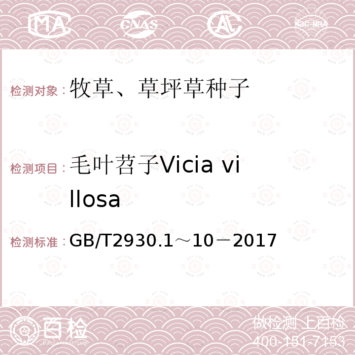 毛叶苕子Vicia villosa GB 2930-1982 牧草种子检验规程