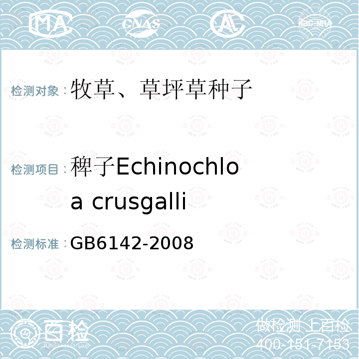 稗子Echinochloa crusgalli GB 6142-2008 禾本科草种子质量分级