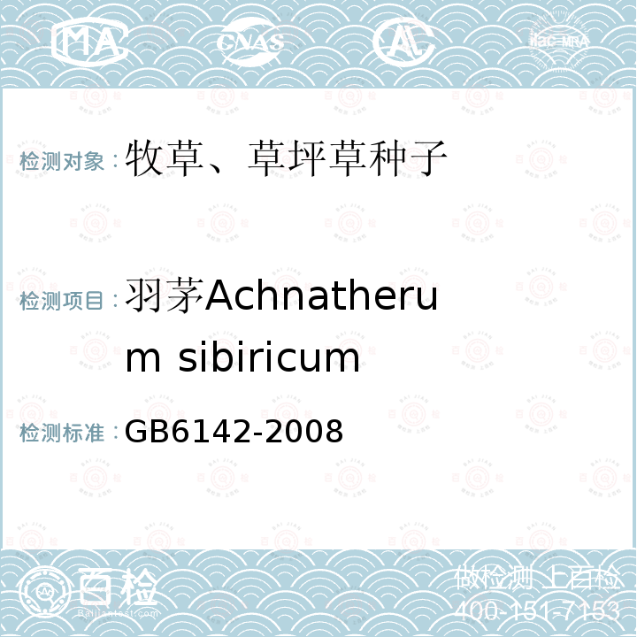 羽茅Achnatherum sibiricum GB 6142-2008 禾本科草种子质量分级
