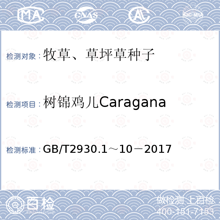 树锦鸡儿Caragana arborescens GB 2930-1982 牧草种子检验规程
