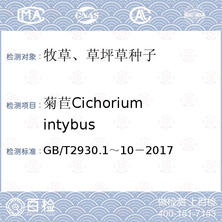 菊苣Cichorium intybus GB 2930-1982 牧草种子检验规程