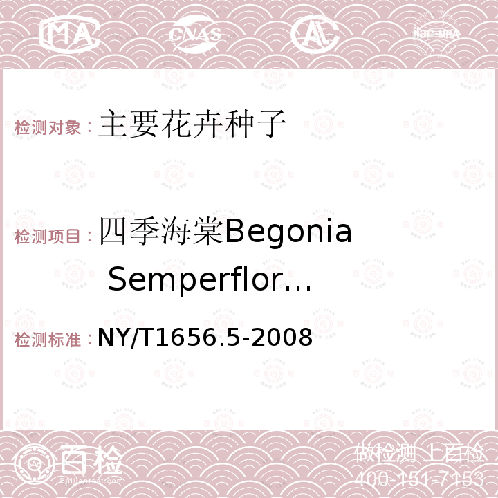 四季海棠Begonia  Semperflorens NY/T 1656.5-2008 花卉检验技术规范 第5部分:花卉种子检验