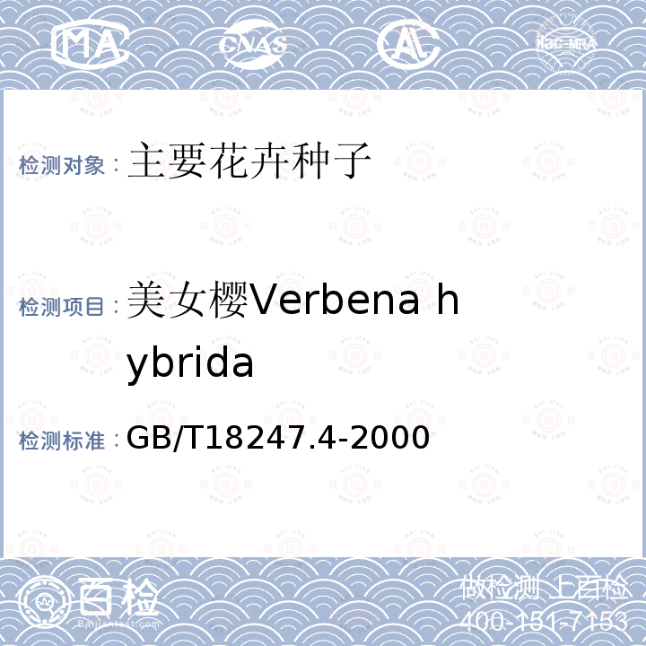 美女樱Verbena hybrida 主要花卉产品等级 第4部分：花卉种子