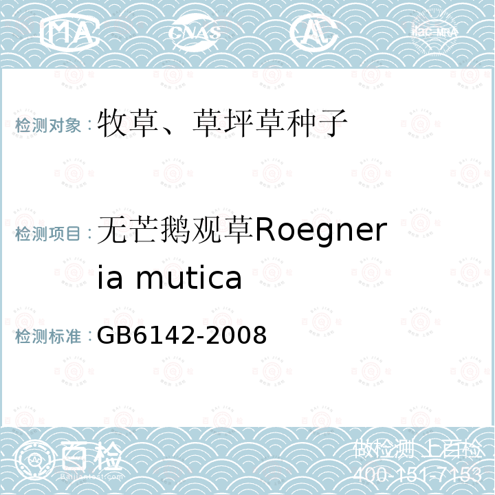 无芒鹅观草Roegneria mutica GB 6142-2008 禾本科草种子质量分级