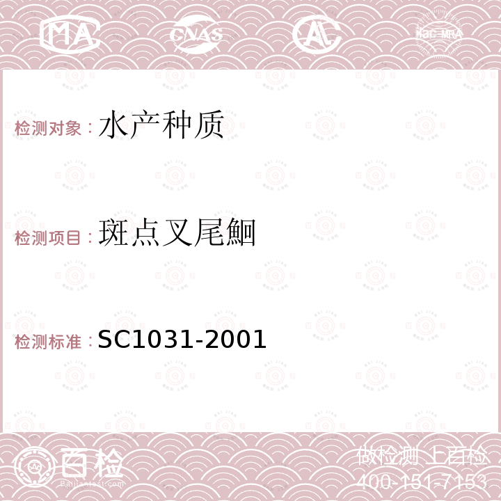 斑点叉尾鮰 SC 1031-2001 斑点叉尾鮰