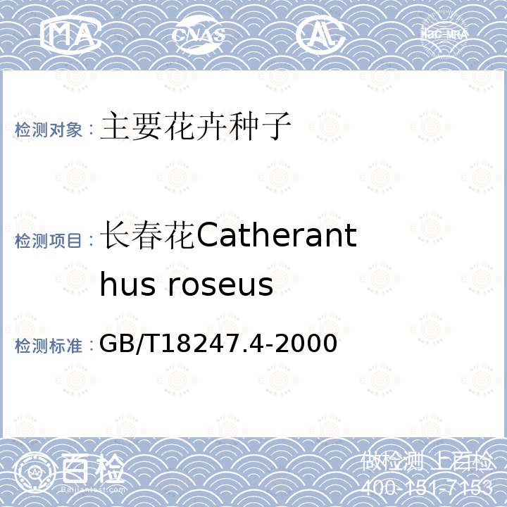 长春花Catheranthus roseus GB/T 18247.4-2000 主要花卉产品等级 第4部分:花卉种子
