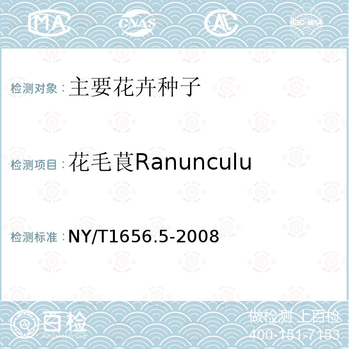 花毛茛Ranunculus asiaticus 花卉检验技术规范 第5部分：花卉种子检验