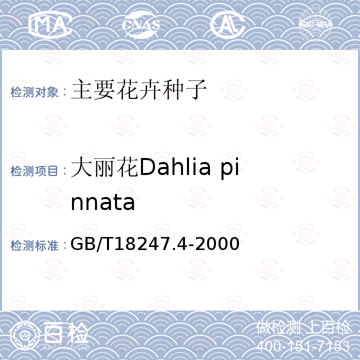 大丽花Dahlia pinnata GB/T 18247.4-2000 主要花卉产品等级 第4部分:花卉种子