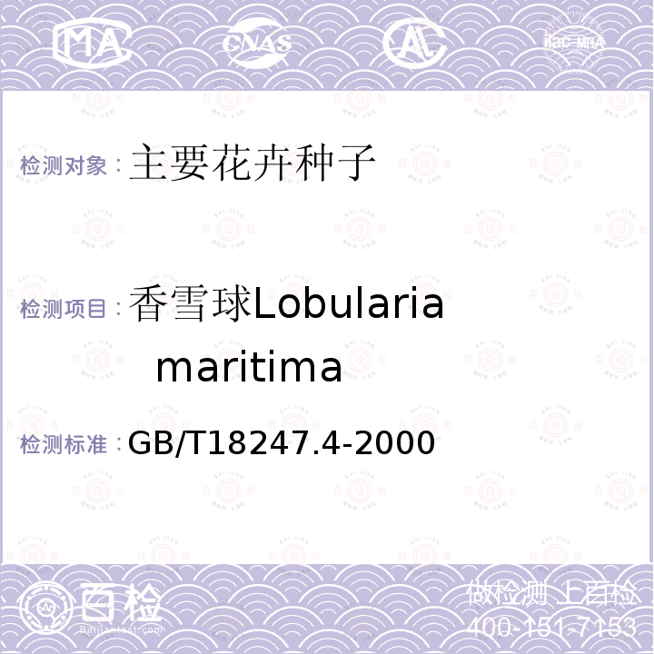 香雪球Lobularia  maritima GB/T 18247.4-2000 主要花卉产品等级 第4部分:花卉种子
