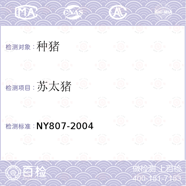 苏太猪 NY 807-2004 苏太猪