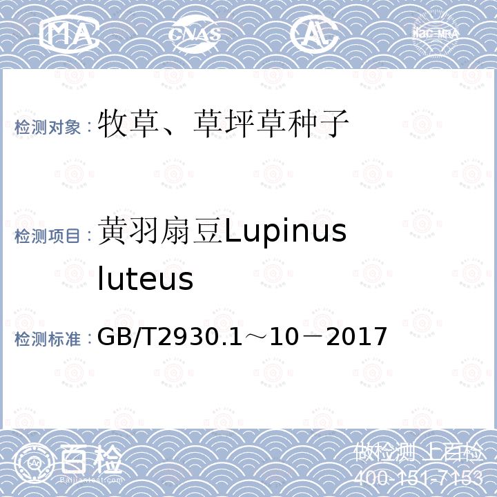 黄羽扇豆Lupinus luteus GB 2930-1982 牧草种子检验规程