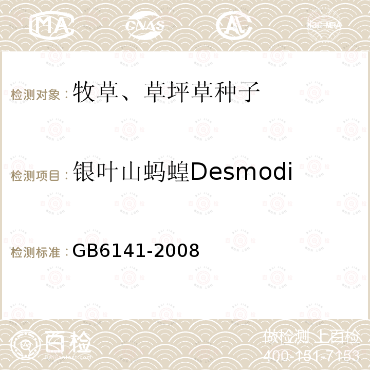 银叶山蚂蝗Desmodium uncinatum GB 6141-2008 豆科草种子质量分级