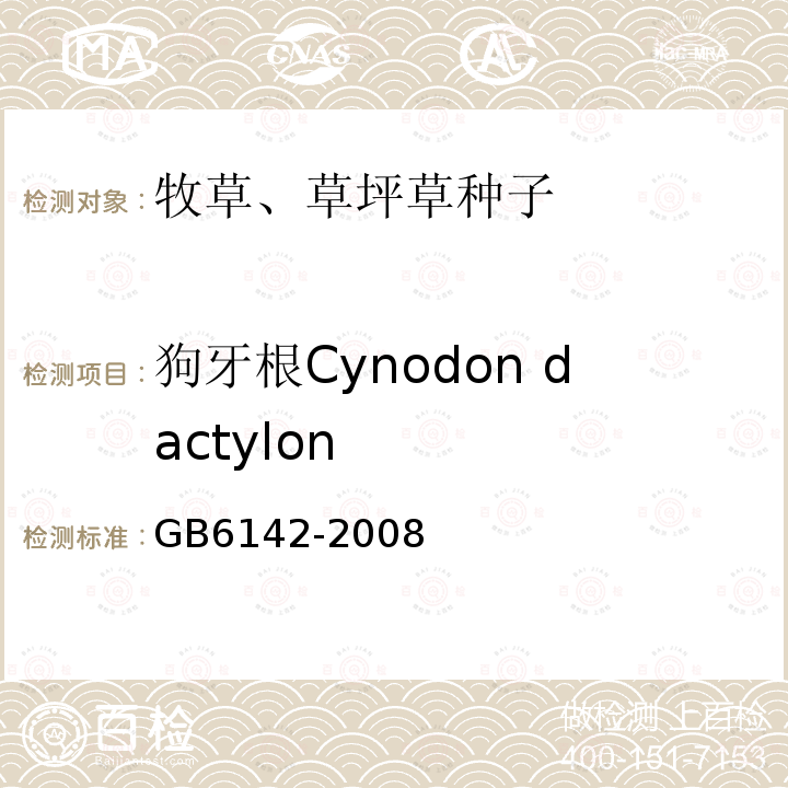 狗牙根Cynodon dactylon GB 6142-2008 禾本科草种子质量分级