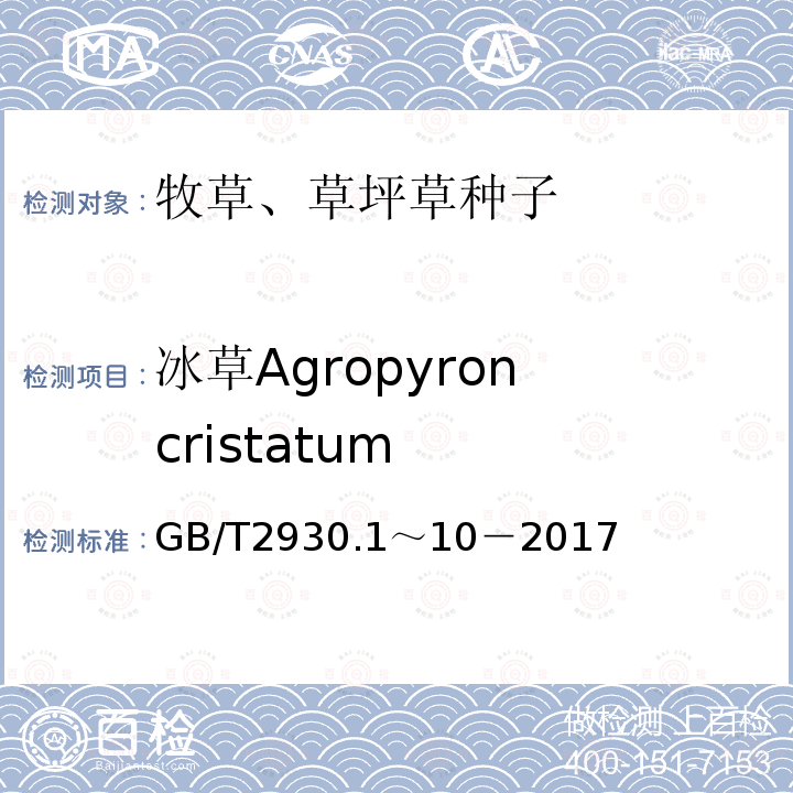 冰草Agropyron cristatum GB 2930-1982 牧草种子检验规程