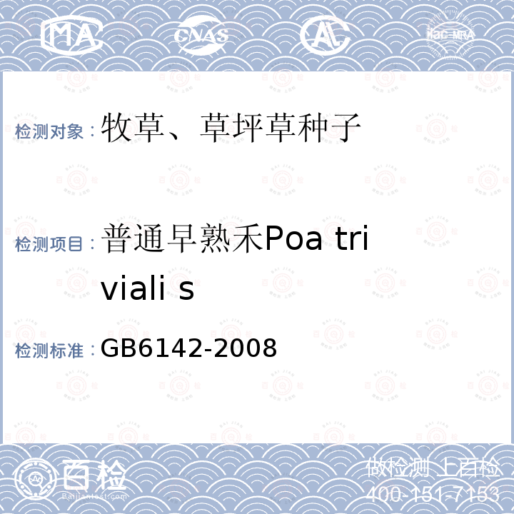 普通早熟禾Poa triviali s GB 6142-2008 禾本科草种子质量分级