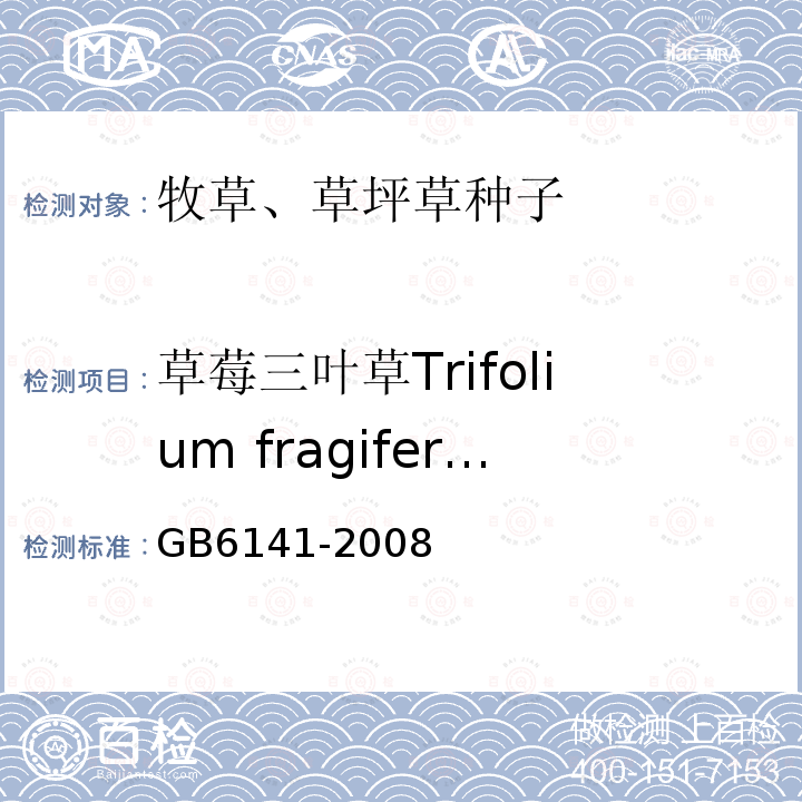 草莓三叶草Trifolium fragiferum GB 6141-2008 豆科草种子质量分级