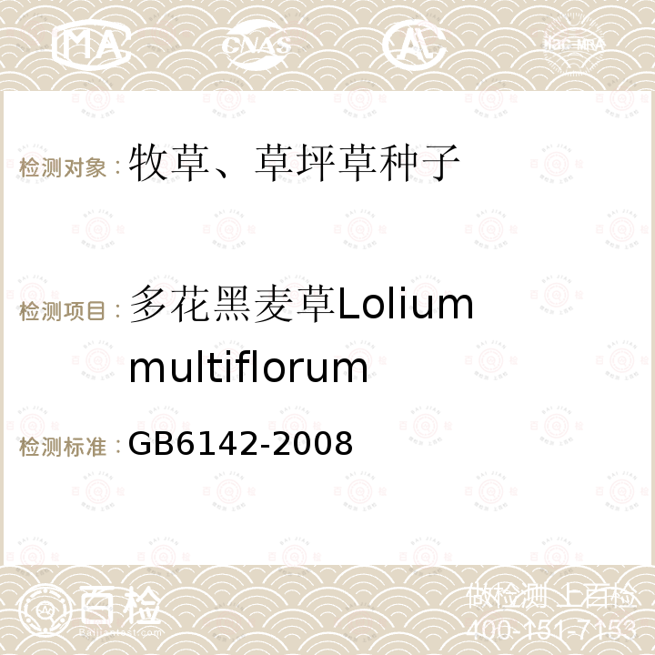 多花黑麦草Lolium multiflorum GB 6142-2008 禾本科草种子质量分级